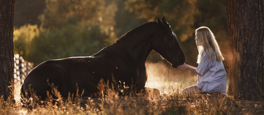 What CBD Product Does My Horse Need?