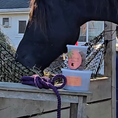 Dragon Treats - 30 Pack - with Free Purple Lead Rope