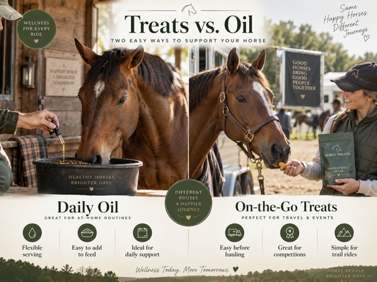 What Product Does My Horse Need?