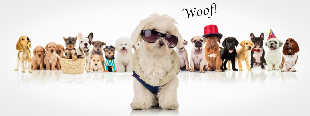 Sticky Frog Dosing Chart and Additional Info