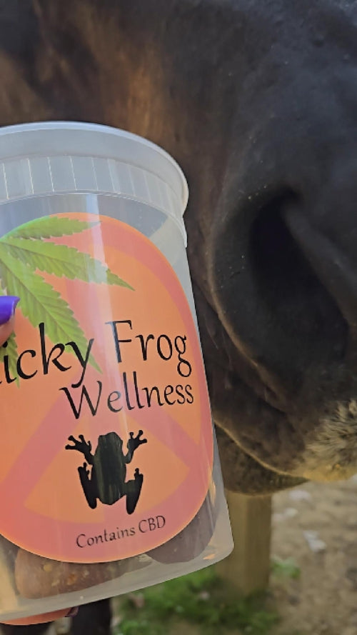 Trial Packs Dragon Blend