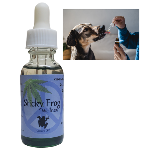 CBD Oil - 800mg - For Large Dogs