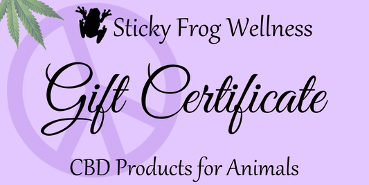 Sticky Frog Gift Card