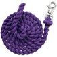 Dragon Treats - 30 Pack - with Free Purple Lead Rope