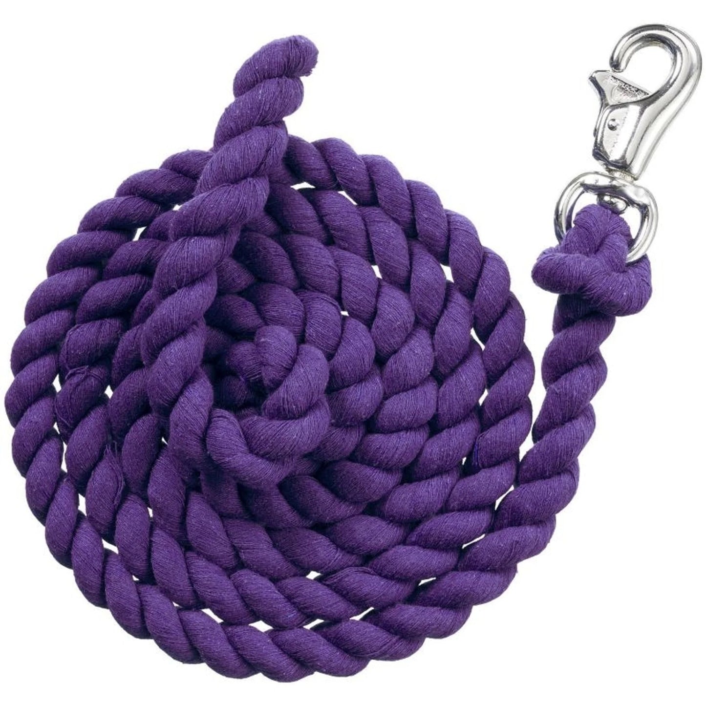 Dragon Treats - 30 Pack - with Free Purple Lead Rope