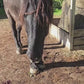 CBD Horse Treats - 30pk/750mg
